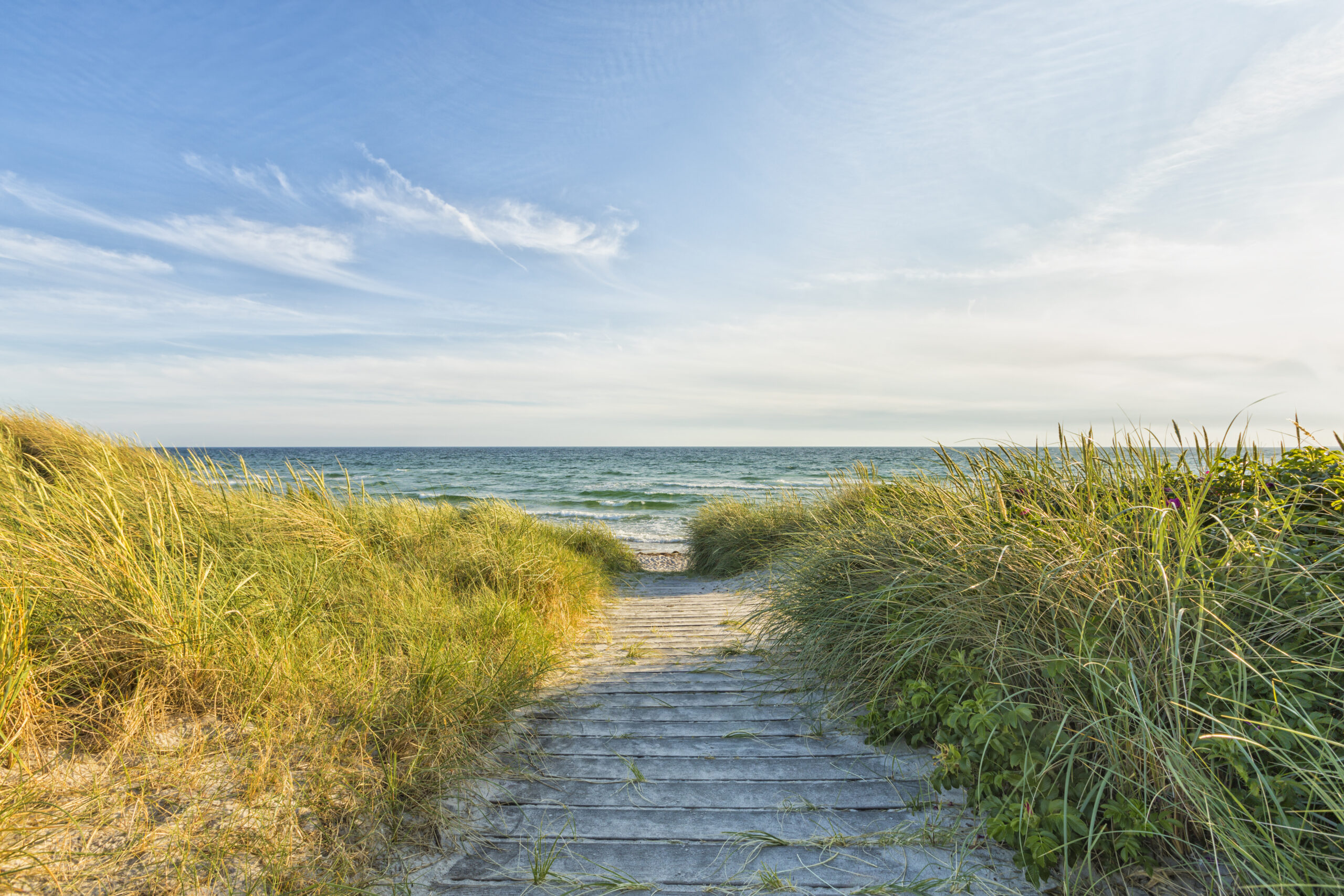 Tresti til Hesselbjerg Strand Østersjøstrand ved Ristinge, Langeland, Danmark. Foto